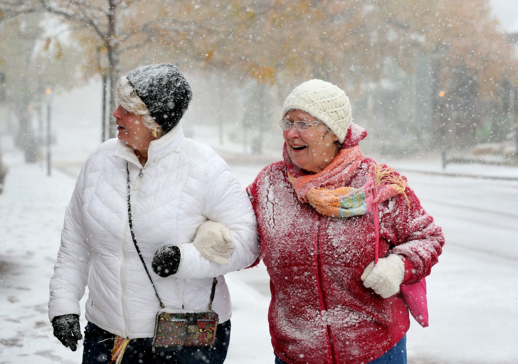 Snow falls in mid-November